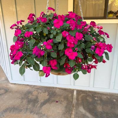 Sale Photo Thumbnail #140