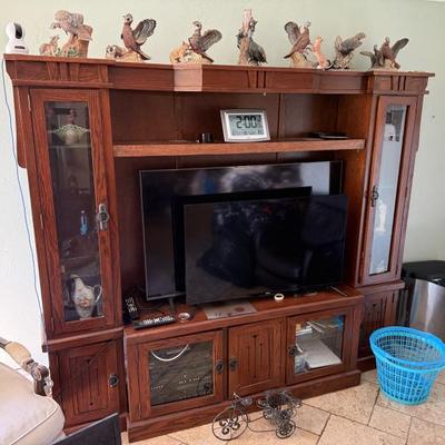 Sale Photo Thumbnail #116: Home Entertainment Center