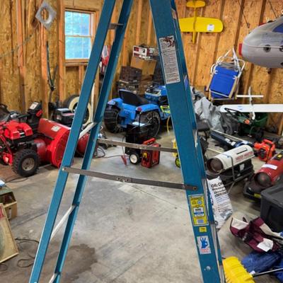 Werner 8 Foot Ladder