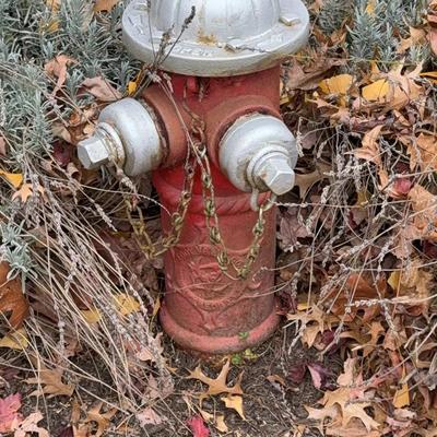 Vintage Fire Hydrant