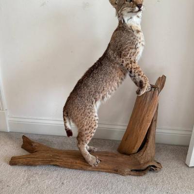 Sale Photo Thumbnail #92