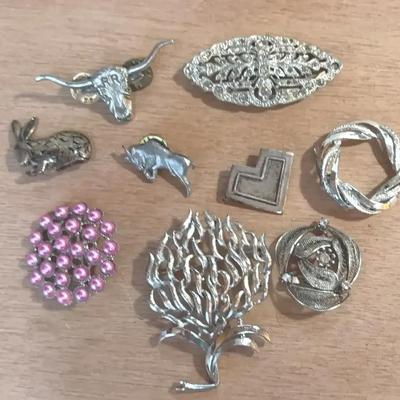 Collection of Pins and Brooches 