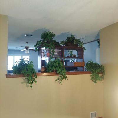 Sale Photo Thumbnail #61