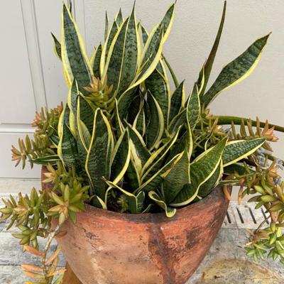 Sale Photo Thumbnail #256