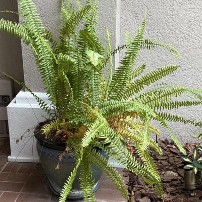 Sale Photo Thumbnail #278