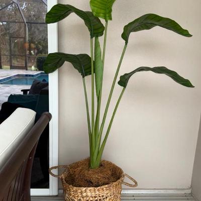 Sale Photo Thumbnail #253