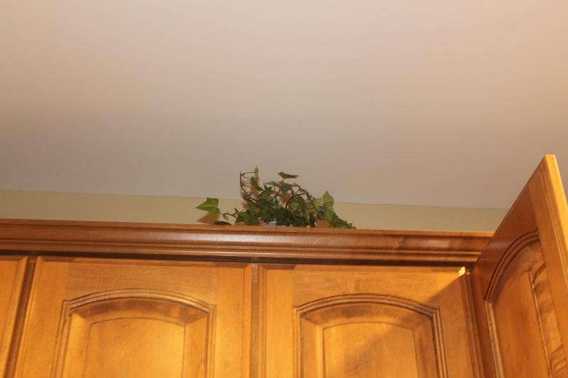 Sale Photo Thumbnail #35