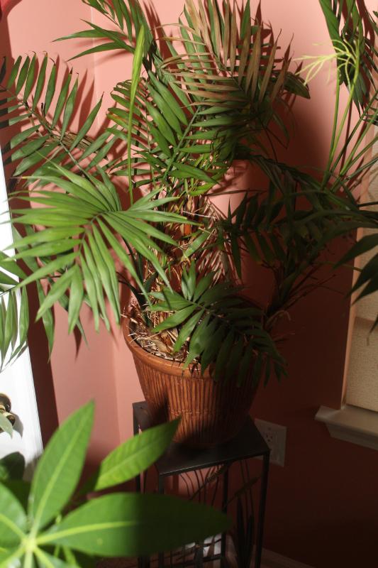 Sale Photo Thumbnail #6