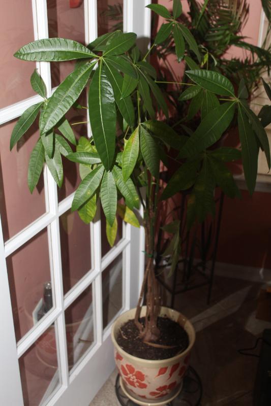 Sale Photo Thumbnail #5