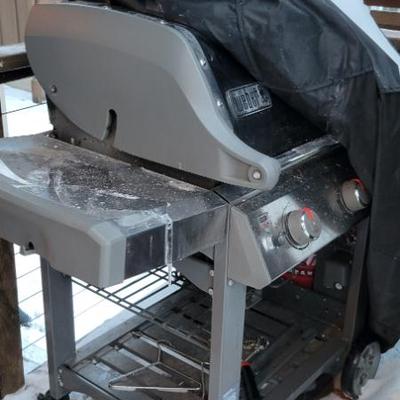 Sale Photo Thumbnail #148: Web Gas Grill