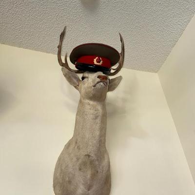 Sale Photo Thumbnail #2