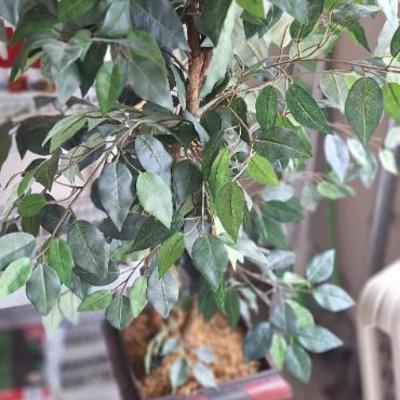 Sale Photo Thumbnail #180