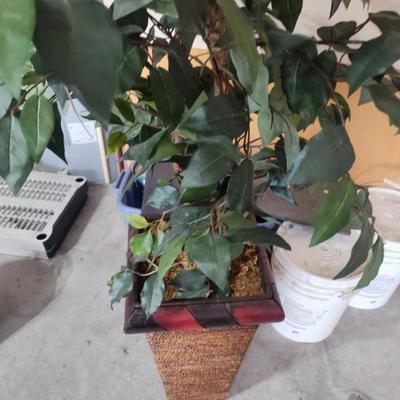 Sale Photo Thumbnail #82