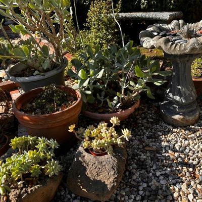 Sale Photo Thumbnail #543