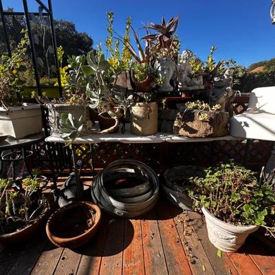 Sale Photo Thumbnail #589