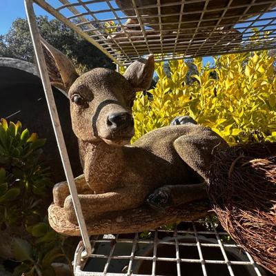 Sale Photo Thumbnail #567