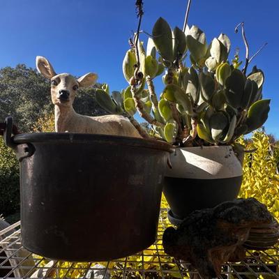 Sale Photo Thumbnail #564