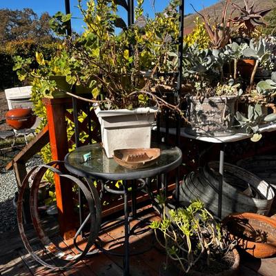 Sale Photo Thumbnail #584