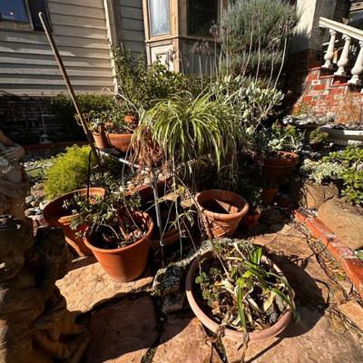 Sale Photo Thumbnail #541