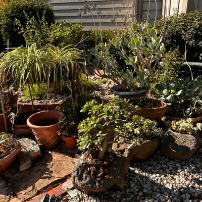 Sale Photo Thumbnail #544