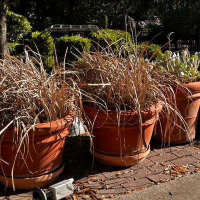 Sale Photo Thumbnail #556