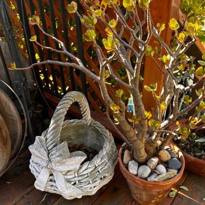 Sale Photo Thumbnail #624