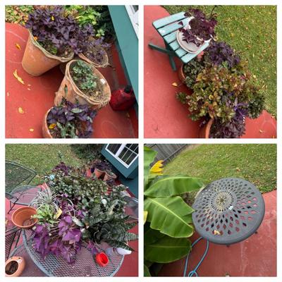 Sale Photo Thumbnail #9