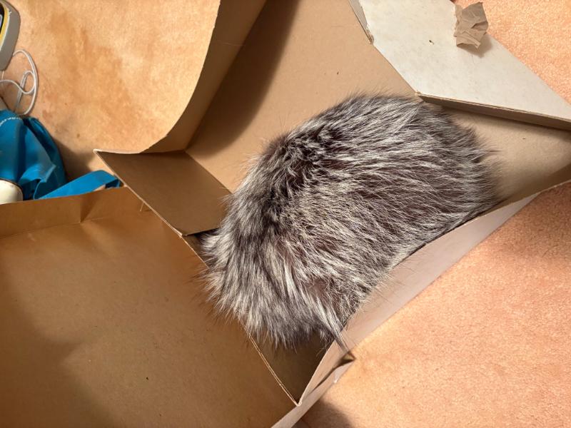 Sale Photo Thumbnail #19