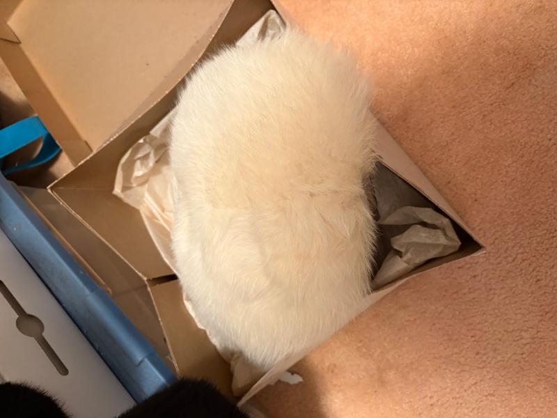 Sale Photo Thumbnail #18