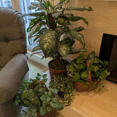 Sale Photo Thumbnail #421