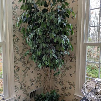 Sale Photo Thumbnail #111