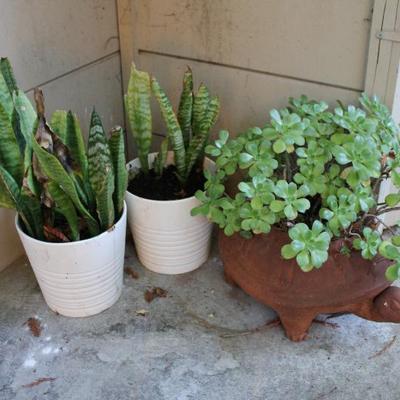 Sale Photo Thumbnail #122