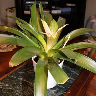 Sale Photo Thumbnail #103