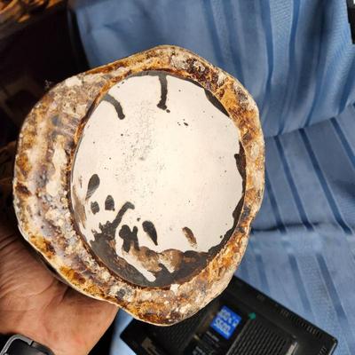 Sale Photo Thumbnail #668