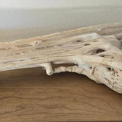 Large Piece of Saguaro Rib 