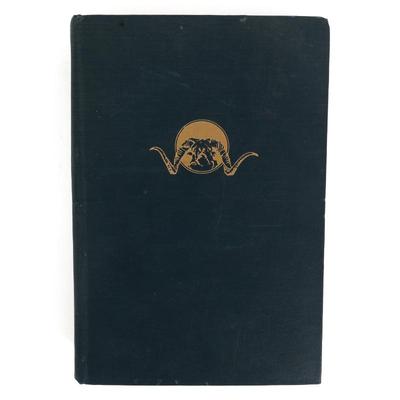 Sale Photo Thumbnail #291