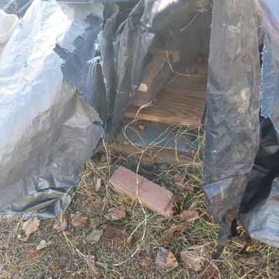 Sale Photo Thumbnail #24