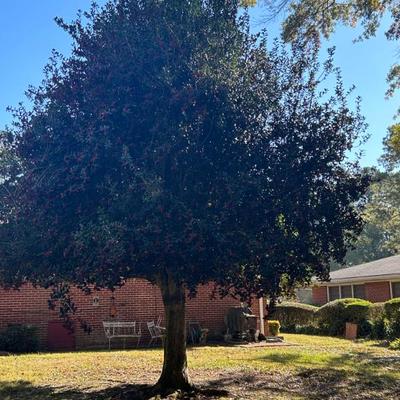 Sale Photo Thumbnail #166