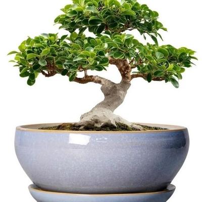 Sale Photo Thumbnail #214