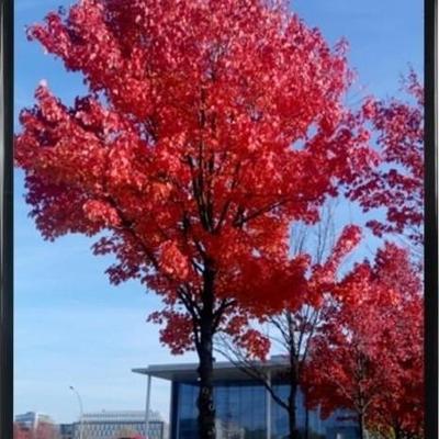 Sale Photo Thumbnail #23