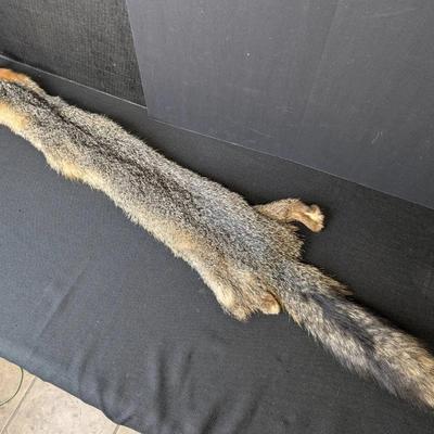 46" Gray Fox Pelt