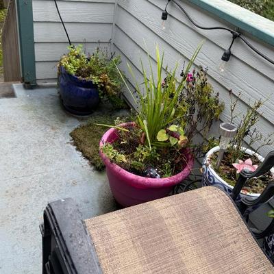 Sale Photo Thumbnail #24