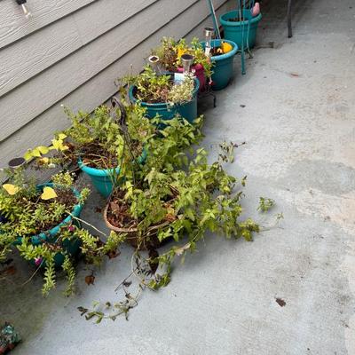 Sale Photo Thumbnail #21