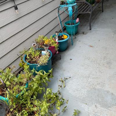 Sale Photo Thumbnail #22