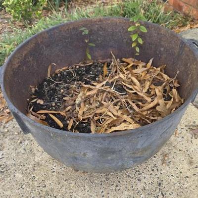 Sale Photo Thumbnail #104