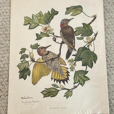 Sale Photo Thumbnail #19