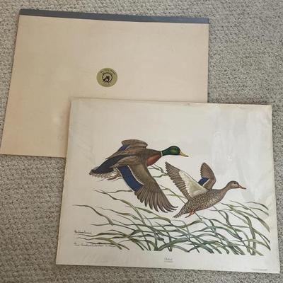 Sale Photo Thumbnail #18