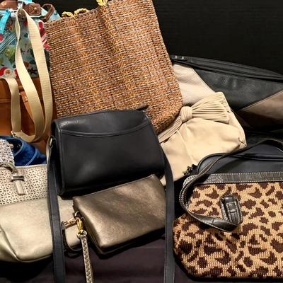 Coach Handbag Featuring a Stylish Mix of Totes, Shoulder Bags & Clutches