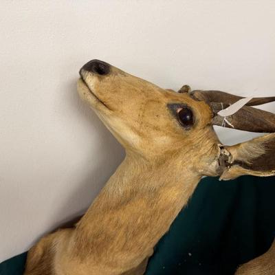 Sale Photo Thumbnail #61