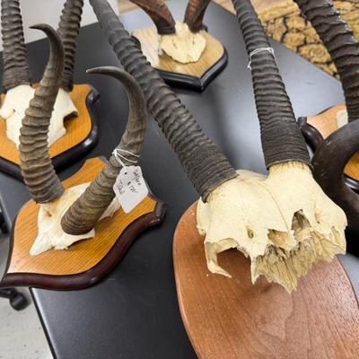 Sale Photo Thumbnail #70